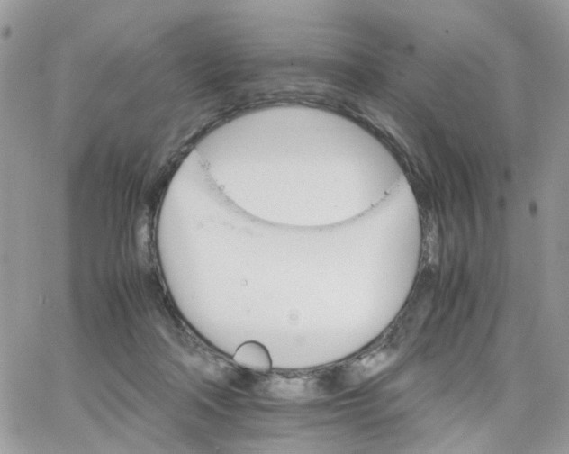 X0000066080314200603241438