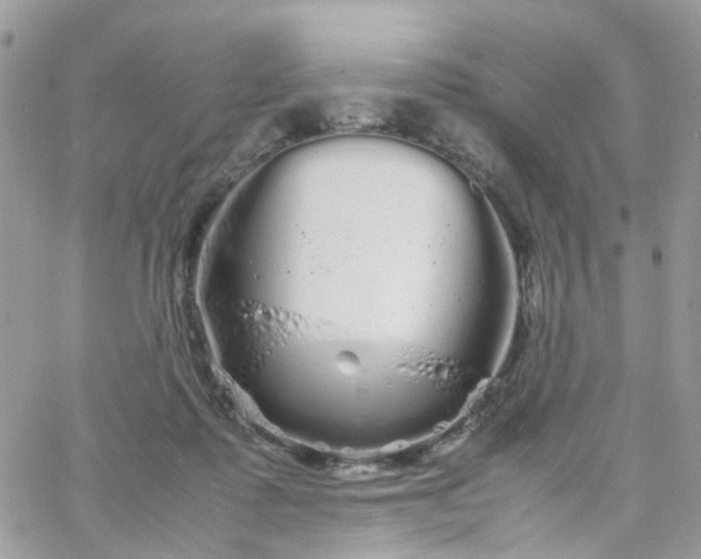 X0000066080315200603241438