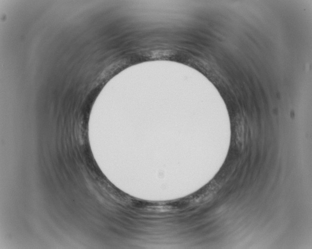 X0000066080316200603241438