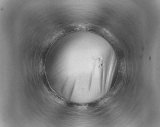 X0000066080318200603241438