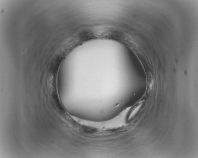 X0000066080319200603241438