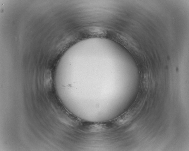 X0000066080320200603241438