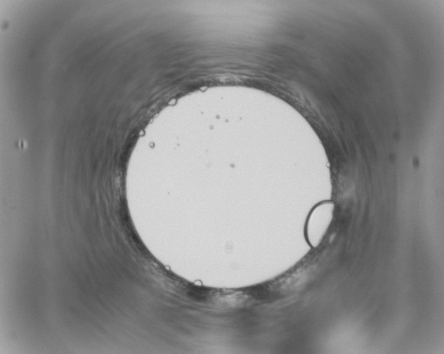 X0000066080321200603241438