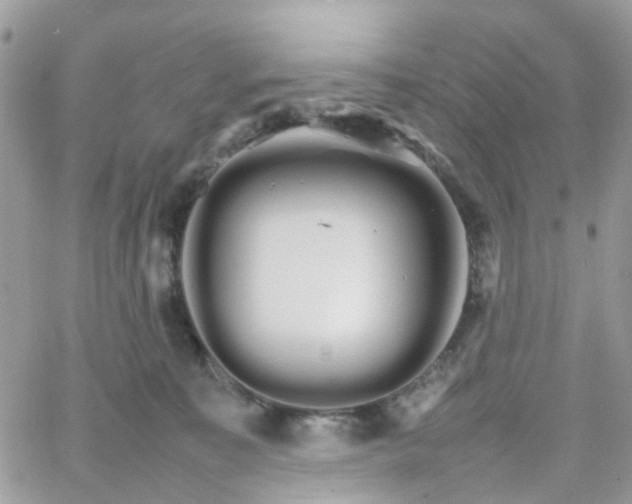 X0000066080323200603241438