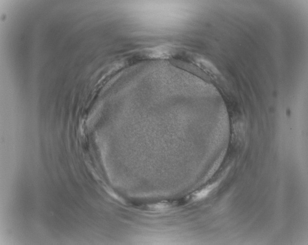 X0000066080325200603241438