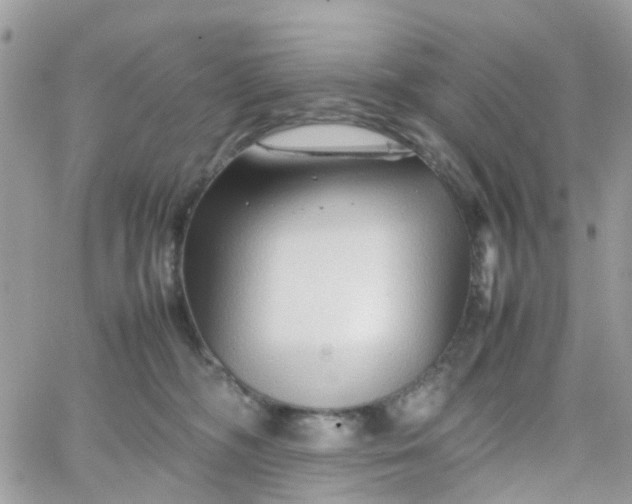 X0000066080326200603241438