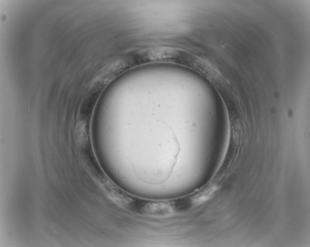 X0000066080327200603241438