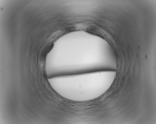 X0000066080329200603241438