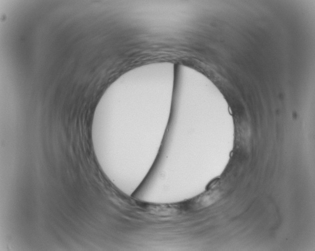 X0000066080331200603241438