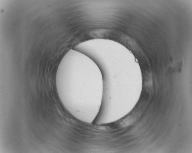 X0000066080332200603241438