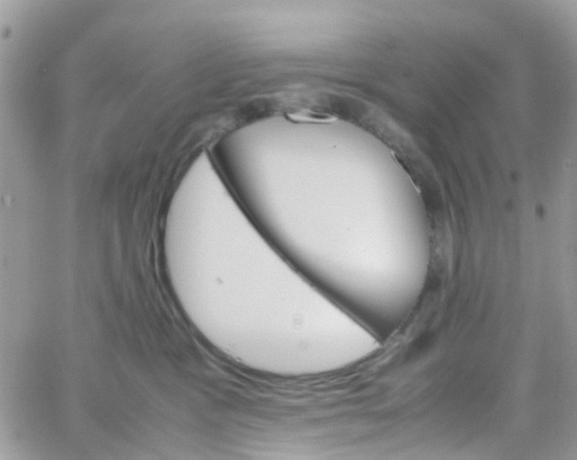 X0000066080333200603241438