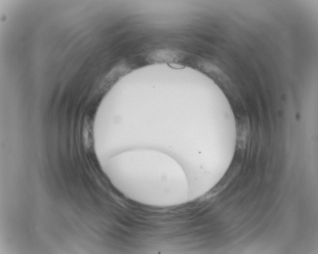 X0000066080334200603241438