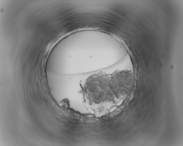 X0000066080337200603241437