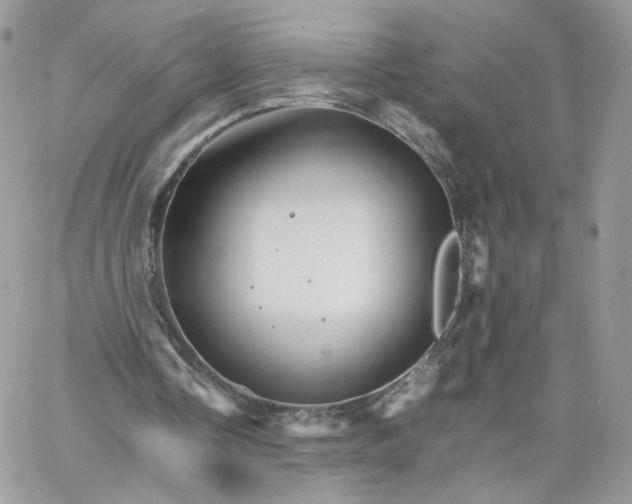 X0000066080338200603241437