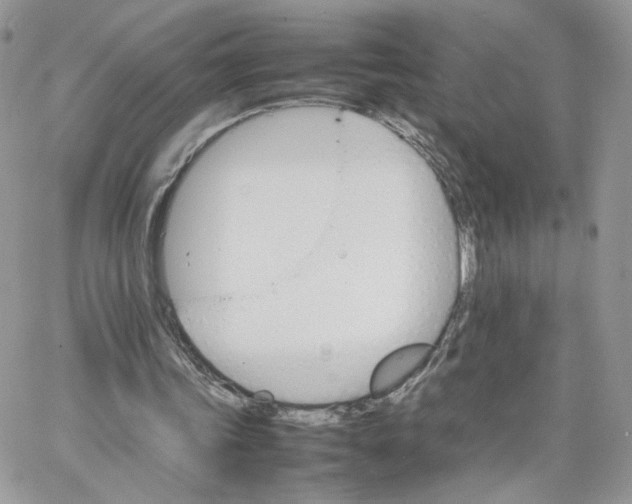 X0000066080339200603241437