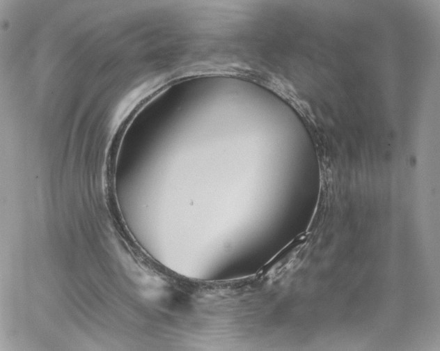 X0000066080340200603241437