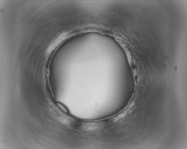 X0000066080341200603241437