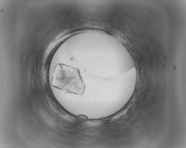 X0000066080343200603241437