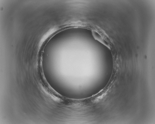 X0000066080344200603241437