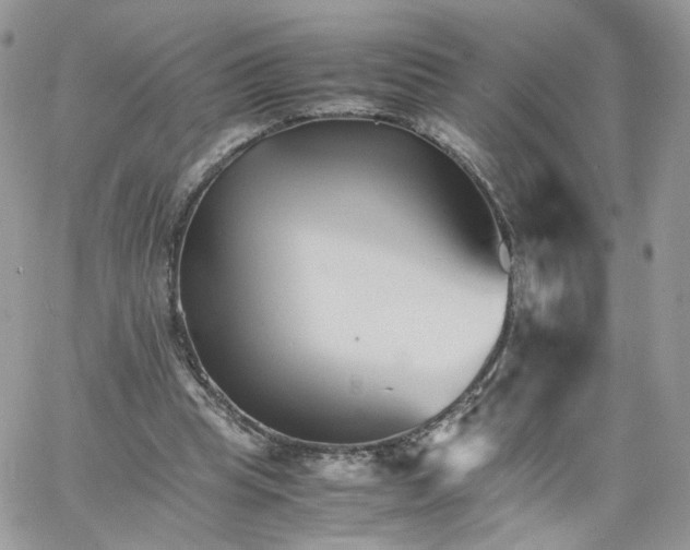 X0000066080345200603241437