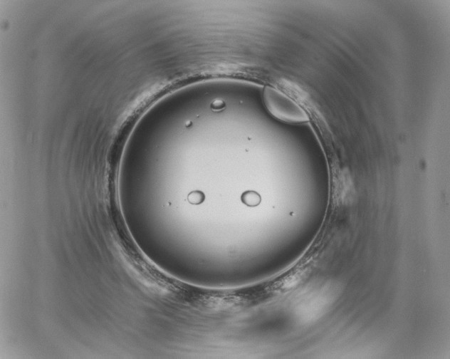 X0000066080346200603241437