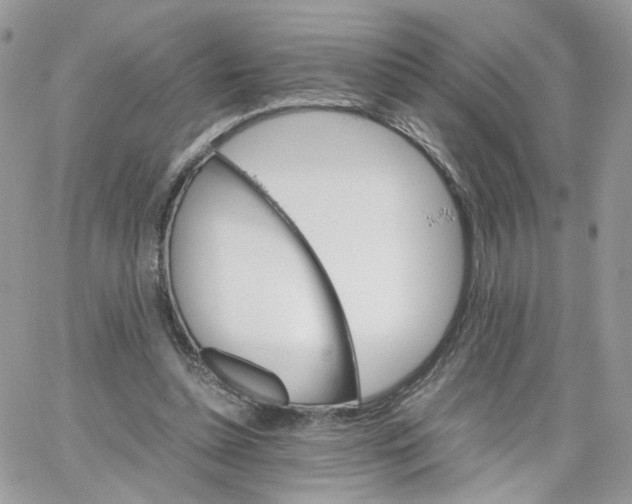 X0000066080348200603241437