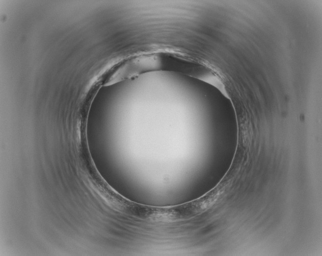 X0000066080350200603241437