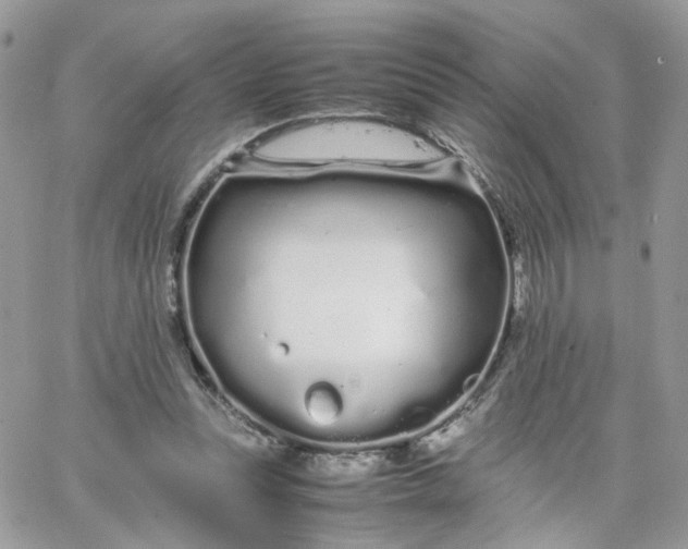 X0000066080351200603241437