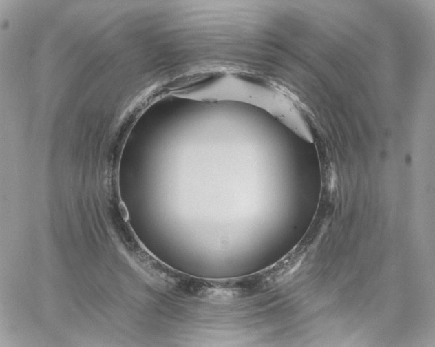 X0000066080352200603241437