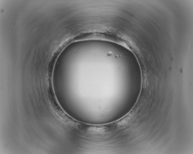 X0000066080354200603241437