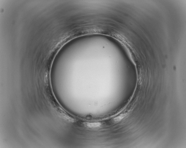 X0000066080355200603241437