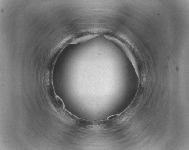 X0000066080356200603241437