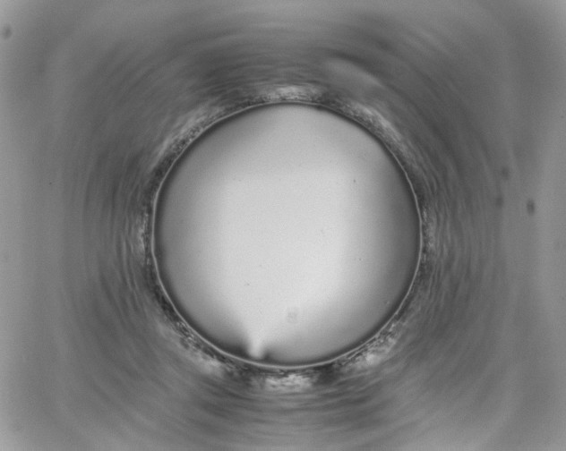 X0000066080357200603241437