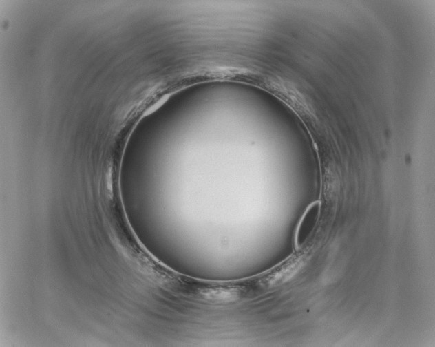 X0000066080358200603241438