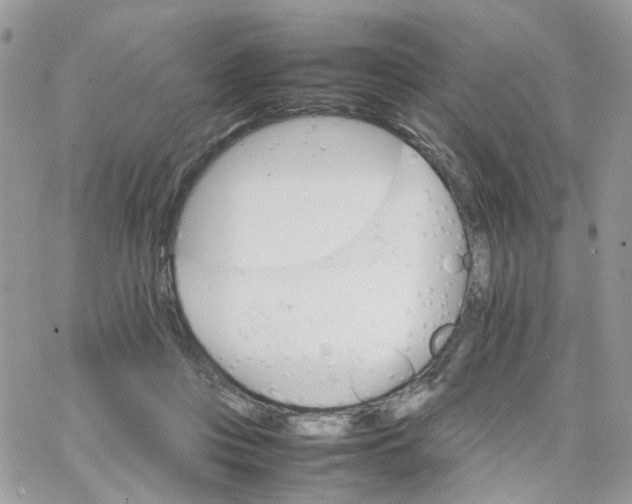 X0000066080359200603241438