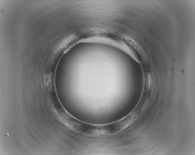 X0000066080360200603241438