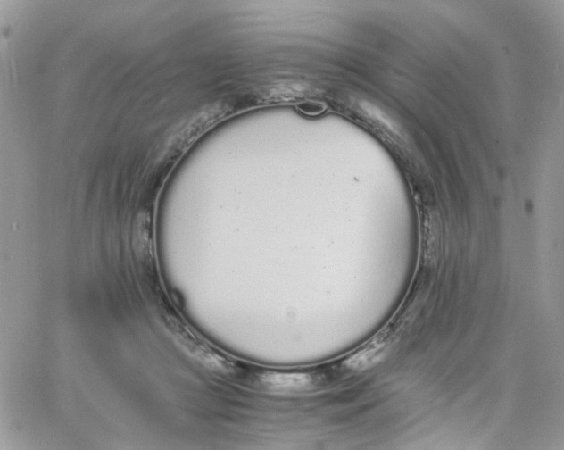 X0000066080361200603241438