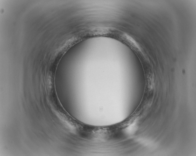 X0000066080362200603241438