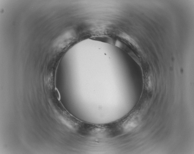 X0000066080364200603241438