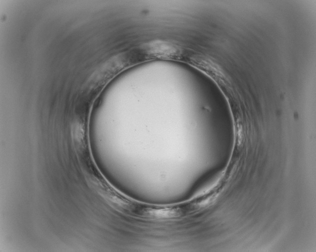 X0000066080365200603241438