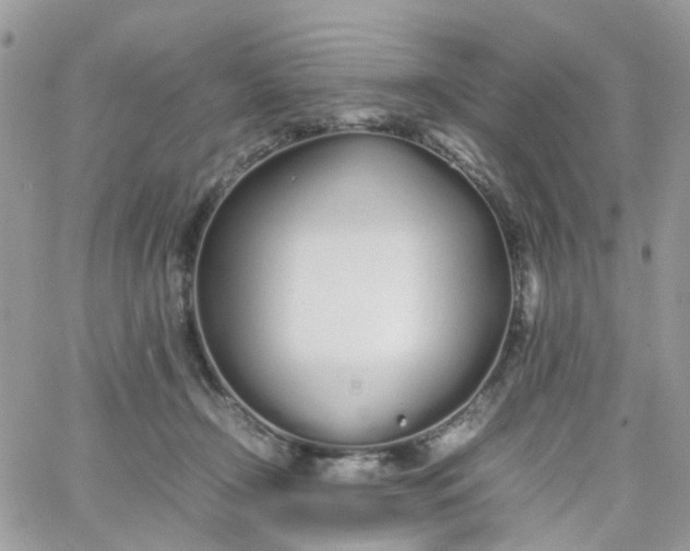 X0000066080366200603241438