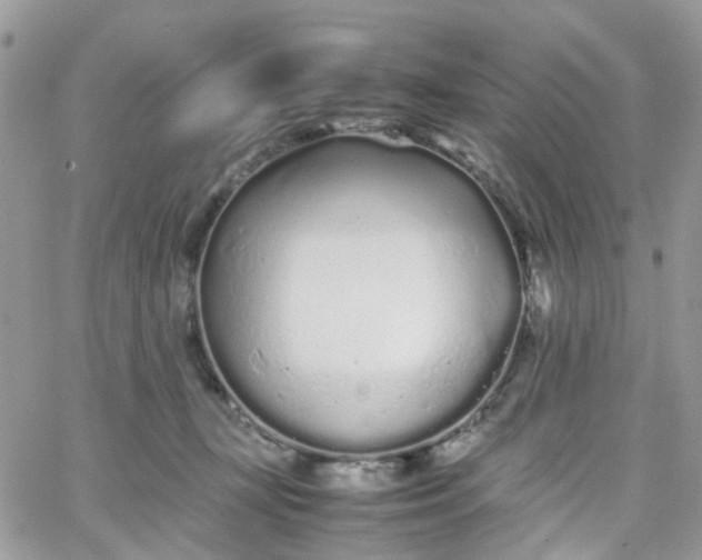 X0000066080367200603241438