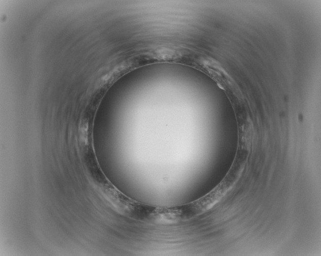 X0000066080368200603241438