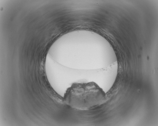 X0000066080369200603241438