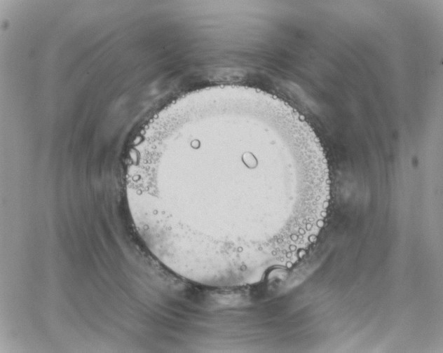 X0000066080370200603241438