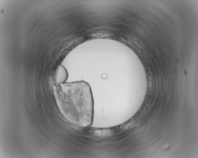 X0000066080371200603241438