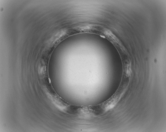 X0000066080372200603241438