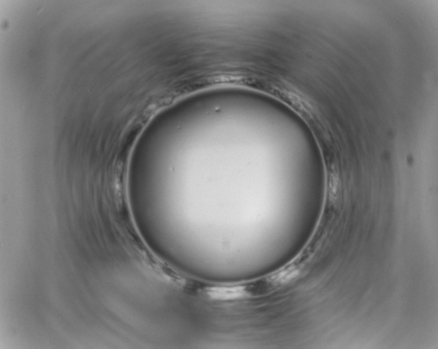 X0000066080373200603241438