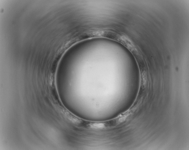 X0000066080374200603241438