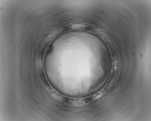 X0000066080375200603241438